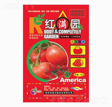 �t�M�@4kg-����ʩ