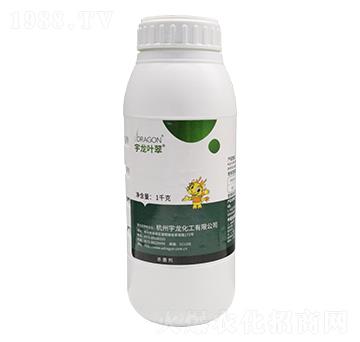 1kg���Ѽ׭h(hu��n)��-����