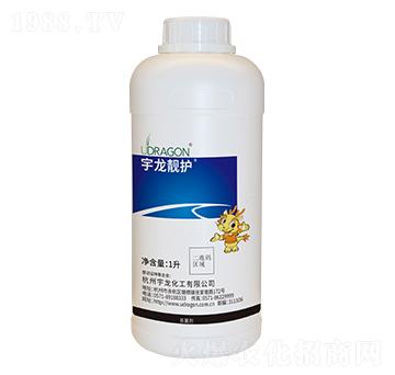 ���ס�������-�����n�o