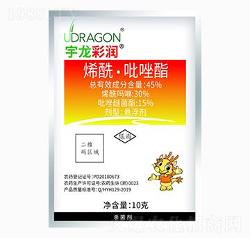 10gϩ����������-��