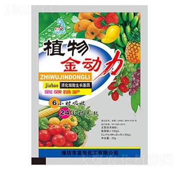 ֲ�����(d��ng)��-��?w��n)|����