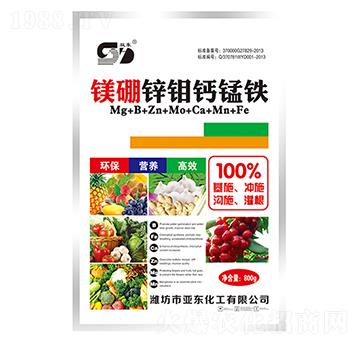 �V���\�f�}�i�F-��?w��n)|����