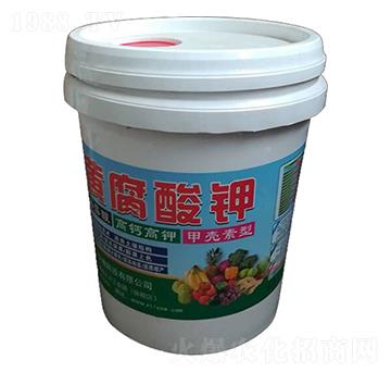 �S�����-��������