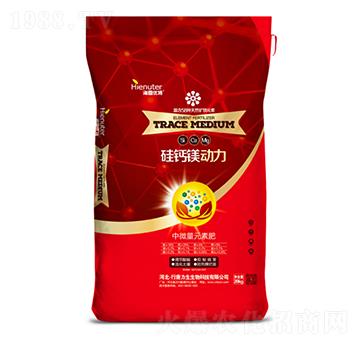 硅鈣鎂動(dòng)力-力生生物