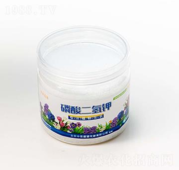 ��������-���r(n��ng)ʢԴ