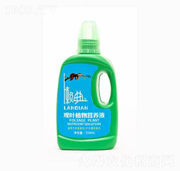 550ml�^�~ֲ��I�B(y��ng)Һ-���r(n��ng)ʢԴ