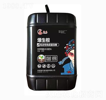 ����ֲ��ˮ�ܷ���-������-�t��