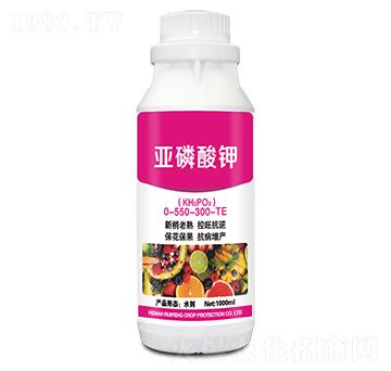 �������0-550-300-TE-�J�S����