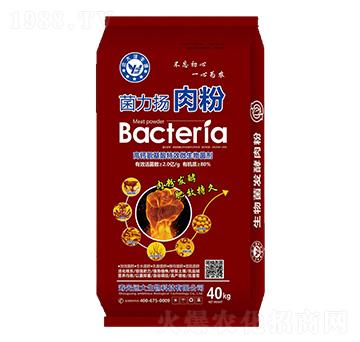 高鈣氨基酸微生物菌劑-菌力揚肉粉-遠大生物