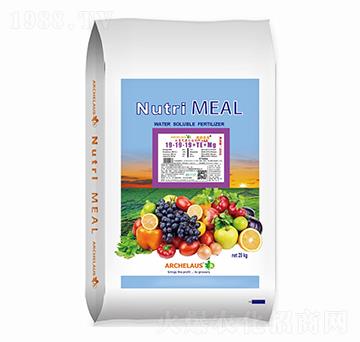 ����Ԫ��ˮ�ܷ���19-19-19+TE+OM-�W�Y�R˼-��ͫ����