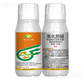 10%�Ȼ�đ�A-��֮��