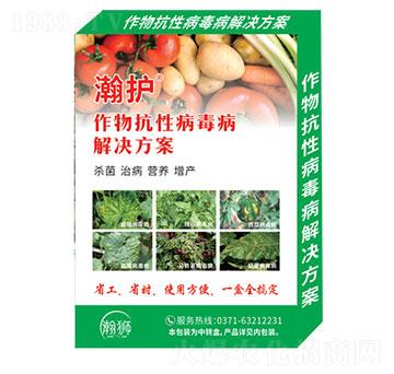 ���￹�Բ�������Q����-��o-嫪{�r�I(y��)