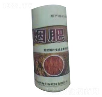 ����-����