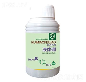 Һ�w��-����