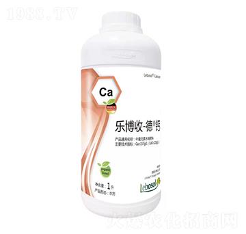 �����յ��}-������-���}