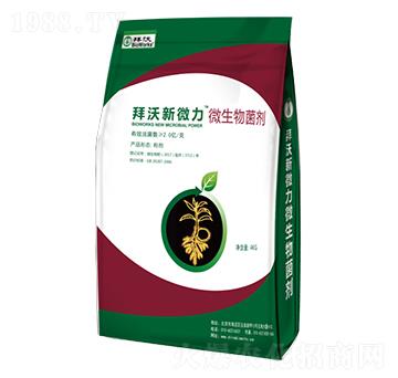 ��΢��΢�������-����