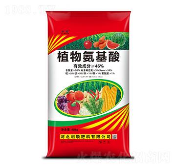 ֲ�ﰱ����-�ӱ����