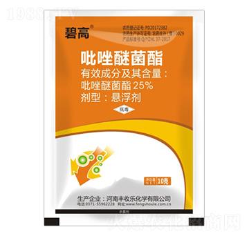 25%�����Ѿ���-�̸�-�S�՘�