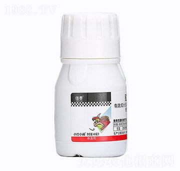 40mlʭ����-��̩-