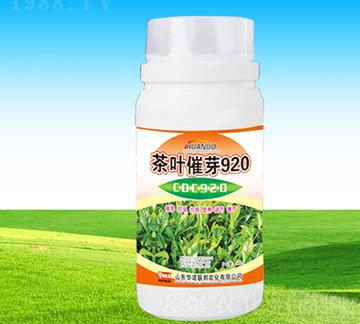 ���~��ѿ920-�A�Z(li��n)