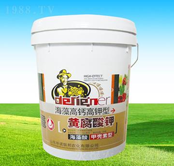 ������}������S�����