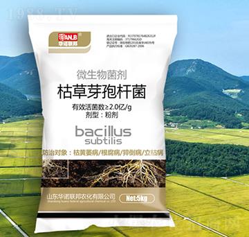 �ݲ�ѿ�ߗU��-�A�Z(li��n)��