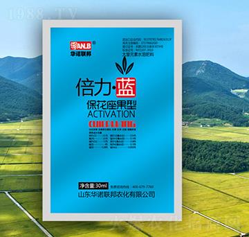 �������{�����������ͣ�