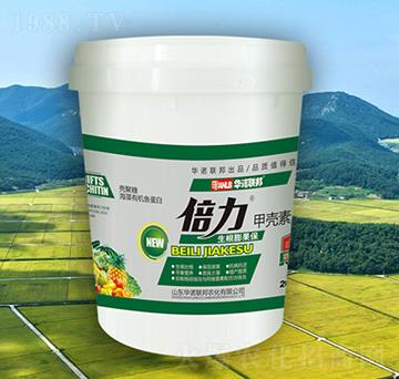 �����ך���-�A�Z(li��n)��