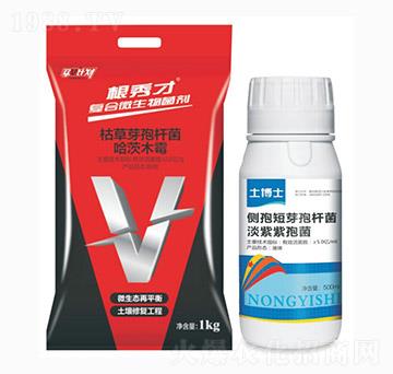 �����+����ʿ-�п��r(n��ng)�I(y��)