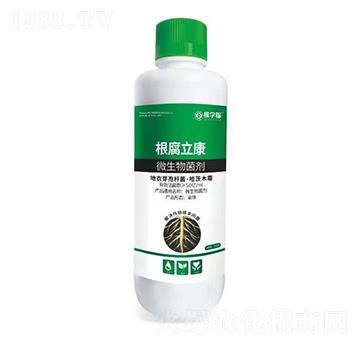 ΢�������-��������-�ÌW(xu��)��