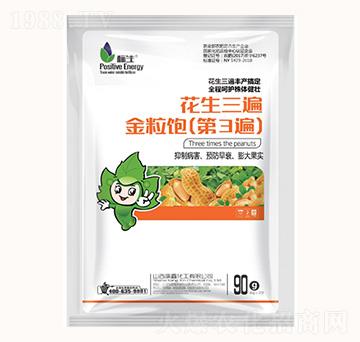 ��������������3�飩-���λ���