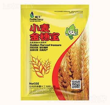 С�����댚-���λ���