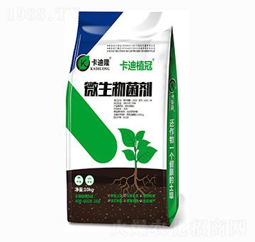 ΢�������-����ֲ��-����¡