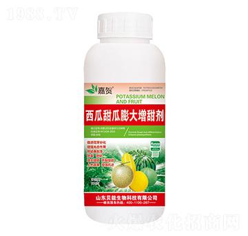 ����������������-ؐ������