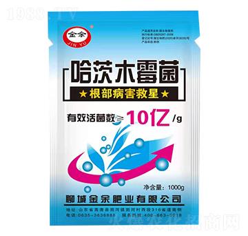 ����ľù��-����