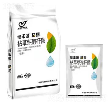 �ݲ�ѿ�ߗU�� �ݝ� �A������