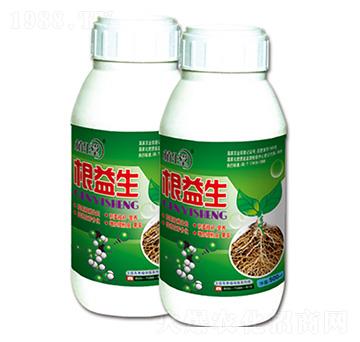 ������ �R������