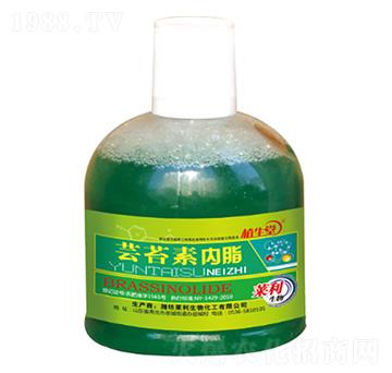 �|̦�؃�(n��i)�� �R������