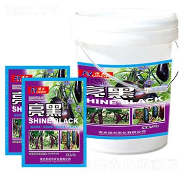 ���� �R������