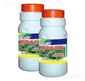 �޻��w픷� ֲ���� �R������