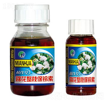 �޻���֧���`�� ֲ���� �R������