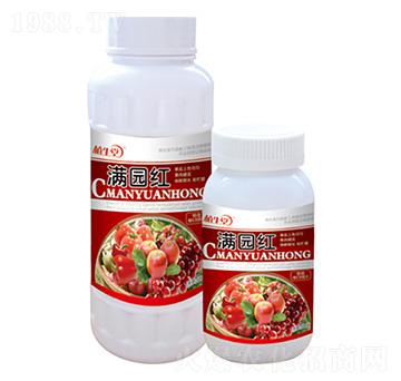 �M�@�t ֲ���� �R������