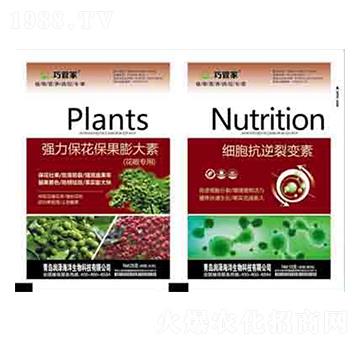 �����������������+��(x��)��������׃�� ����