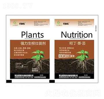 ��(qi��ng)���������焩+�Ŷ��������| ����