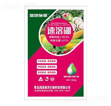 ������ �ǵ�ʩ�� ����