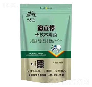 �L(zh��ng)֦ľù��-����ͣ-�֠���