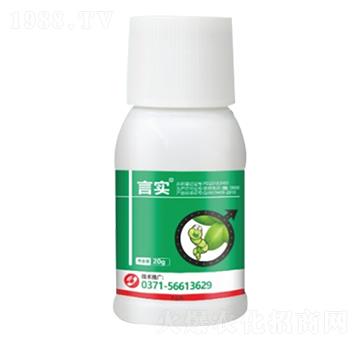 16%�׾S�����x�� �Ԍ�(sh��) ���ƻ���