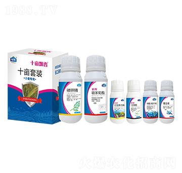 С����(zhu��n)��ʮ�����b ʮ���h�� ⠰��r(n��ng)�I(y��)