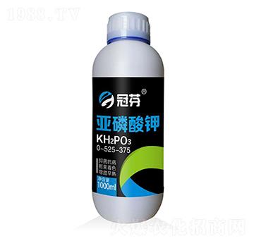 �������0-525-375 �ڷ�