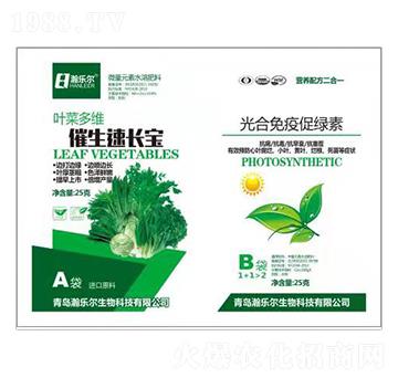 �~�˶�S�������L(zh��ng)��+������ߴپG�� 嫘���